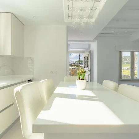 Eidolion Essence -cycladic With Private Plunge Pool For 10 Guests 别墅 帕诺尔莫斯米科诺斯