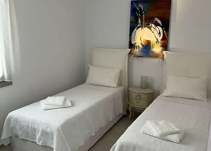 别墅 Eidolion Essence -cycladic With Private Plunge Pool For 10 Guests 帕诺尔莫斯米科诺斯