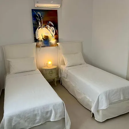 빌라 Eidolion Essence -cycladic With Private Plunge Pool For 10 Guests